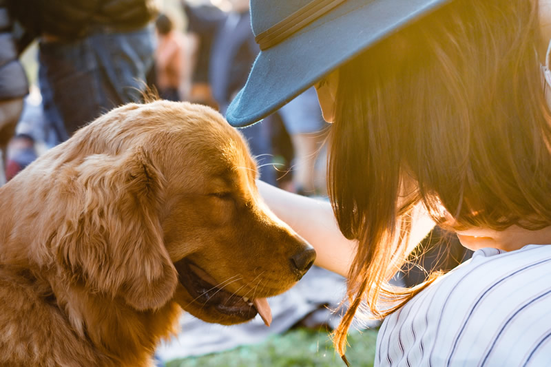 Restaurante Pet Friendly em Goiânia para você aproveitar em boa companhia