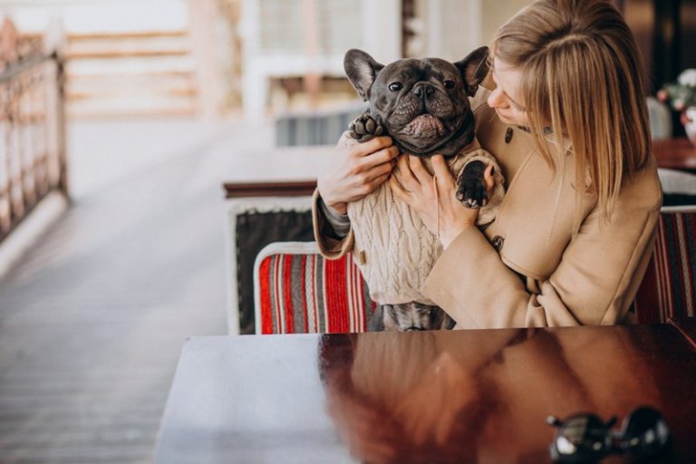 Restaurante Pet Friendly em Curitiba para você conhecer com seu melhor amigo.